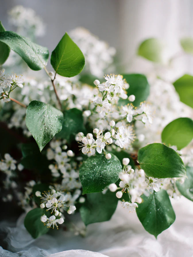 Floral