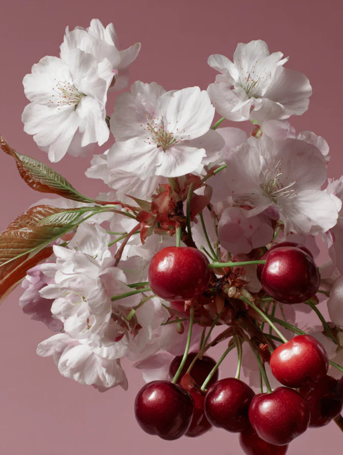 Cerise